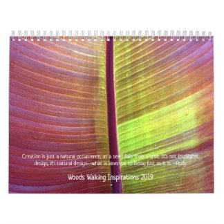 Woods Walking Inspirations 2019 Calendar