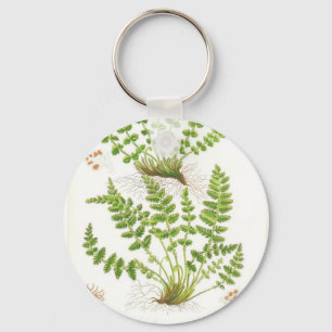 Woodsia Fern Key Ring