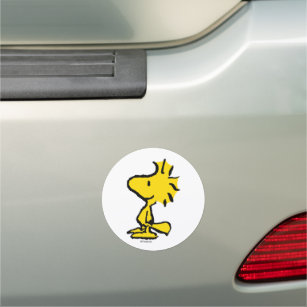Woodstock Classic Design Pattern Car Magnet
