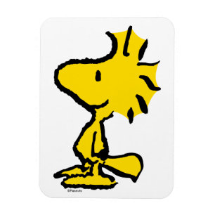 Woodstock Classic Design Pattern Magnet