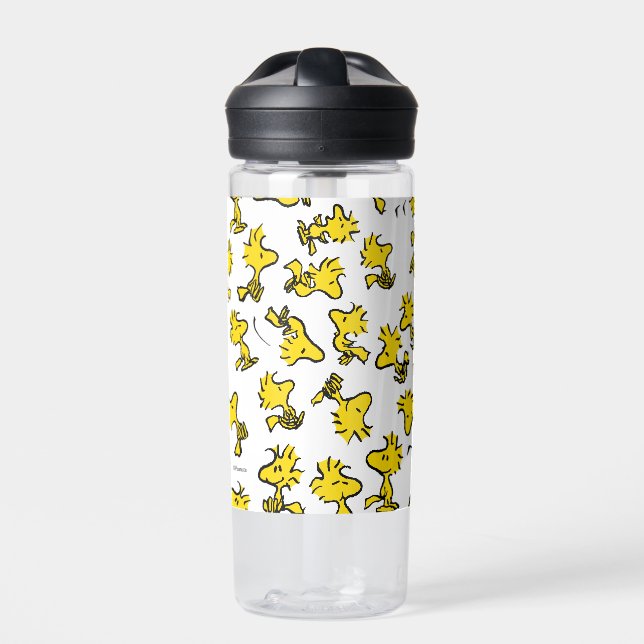 Woodstock Classic Design Pattern Water Bottle (Front)