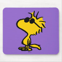 Woodstock In Sunglasses