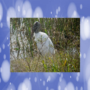 Woodstork Bird Florida Photograph Jigsaw Puzzle