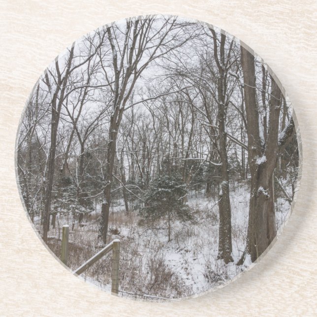 Woody Snow Day Coaster (Front)