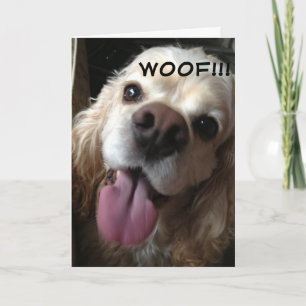 WOOF *HAPPY BIRTHDAY* IN DOGGY LANGUAGE CARD