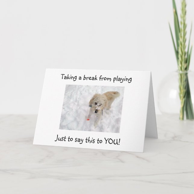 WOOF WOOF "50" LOOKS GOOD ON "YOU" BIRTHDAY CARD (Front)