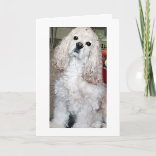 WOOF WOOF/HAPPY BIRTHDAY SAYS COCKER SPANIEL CARD (Front)