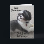 **WOOF WOOF** HAPPY *BIRTHDAY* TO MY *GRANDSON* CARD<br><div class="desc">TO THE **BEST GRANDSON EVER*** HAPPY BIRTHDAY AND I AM SO HAPPY YOU ARE "MY BROTHER"!!!! THANK YOU FOR STOPPING BY ONE OF MY EIGHT STORES!!!</div>