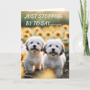 WOOF WOOF MEANS "HAPPY BIRTHDAY" CARD