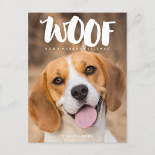 WOOF You a Merry Christmas   Dog Photo Holiday Postcard