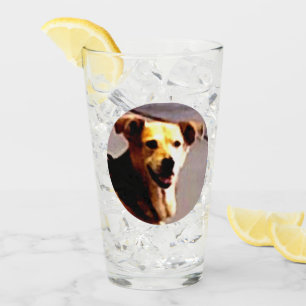 Woofs N' Wags Glass
