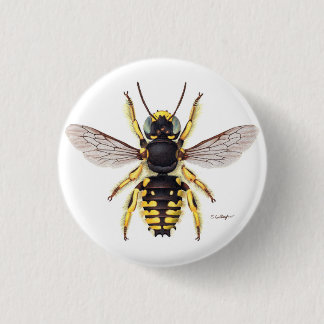wool carder bee button