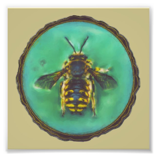 Wool Carder Bee Photo Print (Front)
