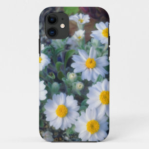 Woolly Daisy Wildflowers iPhone 11 Case