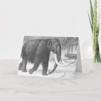 Woolly Mammoth Antique Print Card