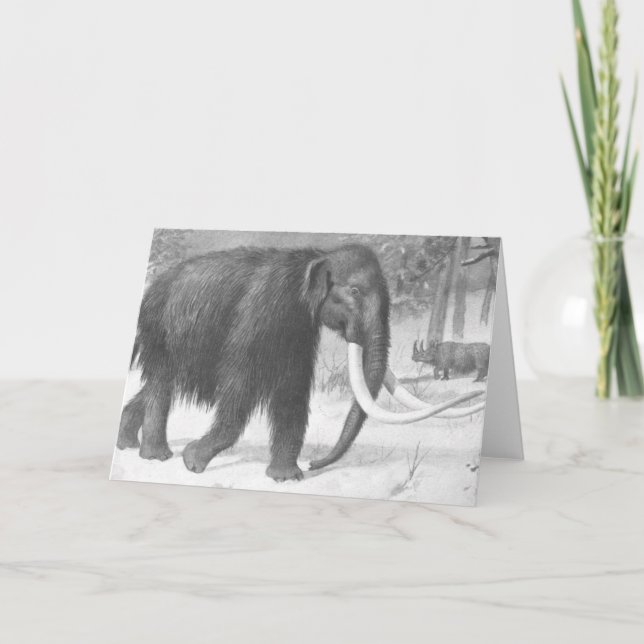 Woolly Mammoth Antique Print Card (Front)
