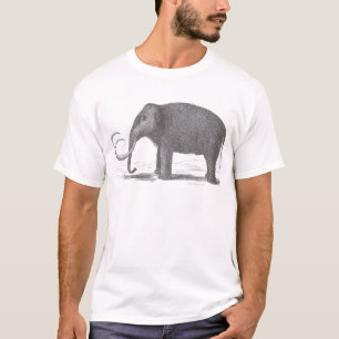 Woolly Mammoth Extinct Mastodon Antique Print T-Shirt