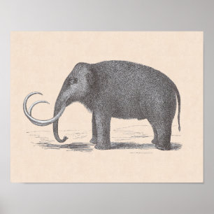 Woolly Mammoth Extinct Mastodon Funny Vintage Poster