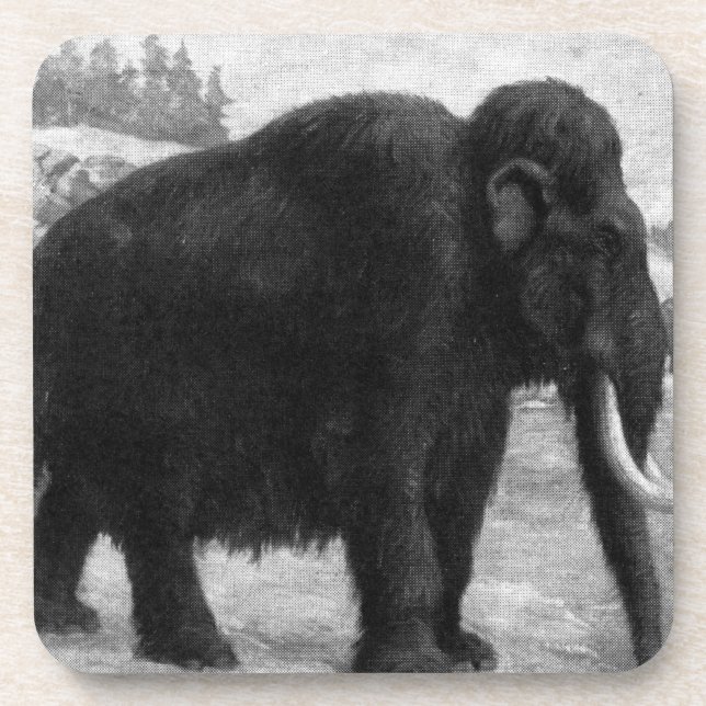 Woolly Mammoth Mod Destiny Coaster (Front)