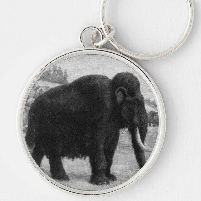 Woolly Mammoth Mod Destiny Key Ring (Front)
