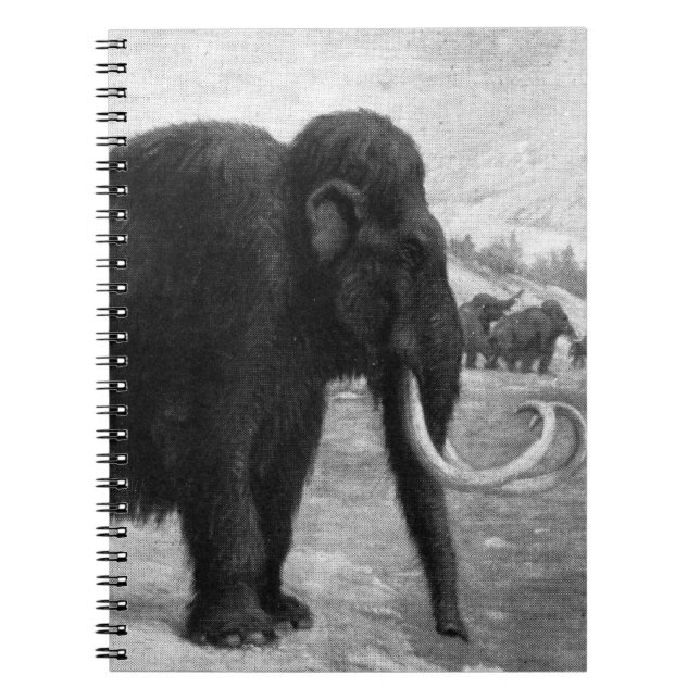 Woolly Mammoth Mod Destiny Notebook (Front)