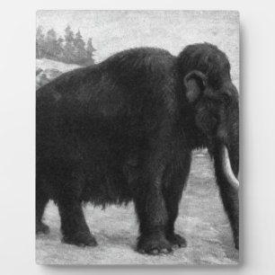 Woolly Mammoth Mod Destiny Plaque