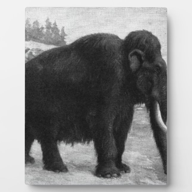 Woolly Mammoth Mod Destiny Plaque (Front)
