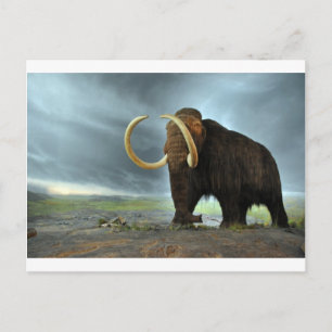 Woolly Mammoth Mod Destiny Postcard