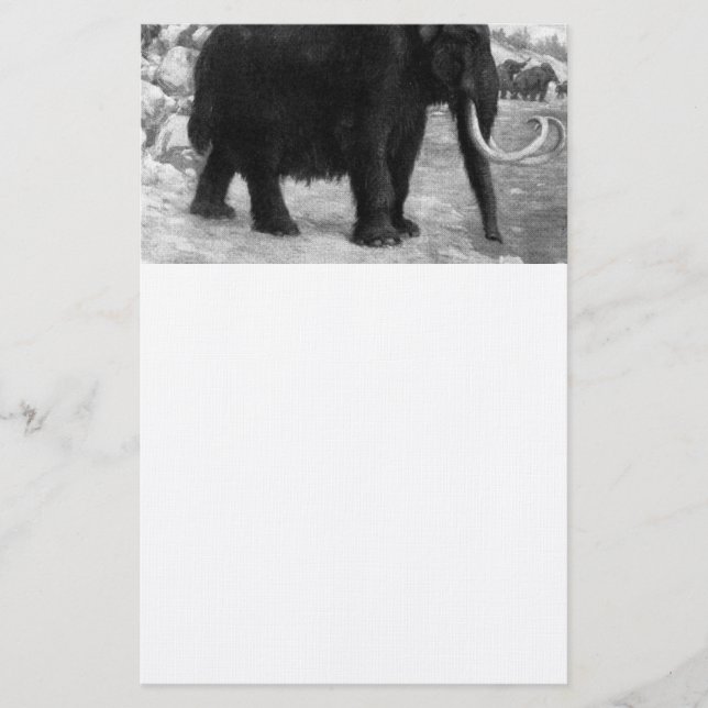Woolly Mammoth Mod Destiny Stationery (Front)