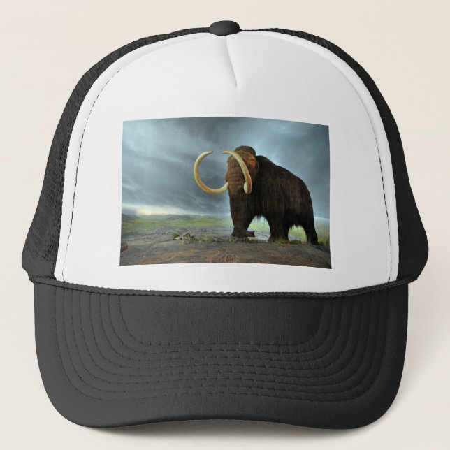 Woolly Mammoth Mod Destiny Trucker Hat (Front)