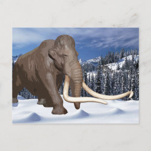 Woolly Mammoth Postcard