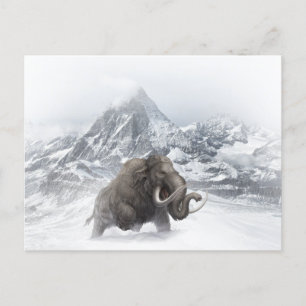 Woolly Mammoth Prehistoric Animal ice age Postcard