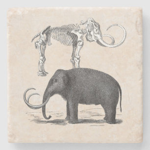 Woolly Mammoth Prehistoric Elephant and Skeleton Stone Coaster