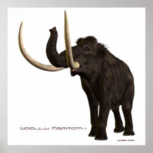 Woolly Mammoth Print