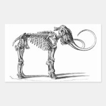 Woolly Mammoth Skeleton stickers