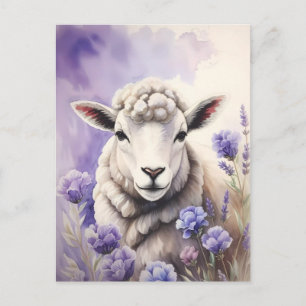 Wooly Sheep And Lavender Flowers Watercolor Postcard