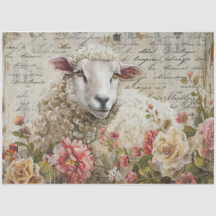 Wooly Sheep Tissue Paper