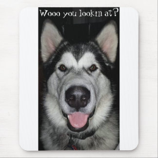 Wooo you lookin at? Alaskan Malamute mouse pad. Pad