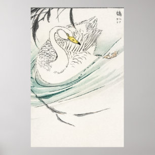 Wooper Swan illustration. Poster