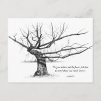 Word Of God Forever: Gnarled Tree in Pencil