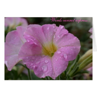 Words cannot express...