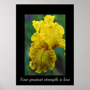 Words of Wisdom Poster