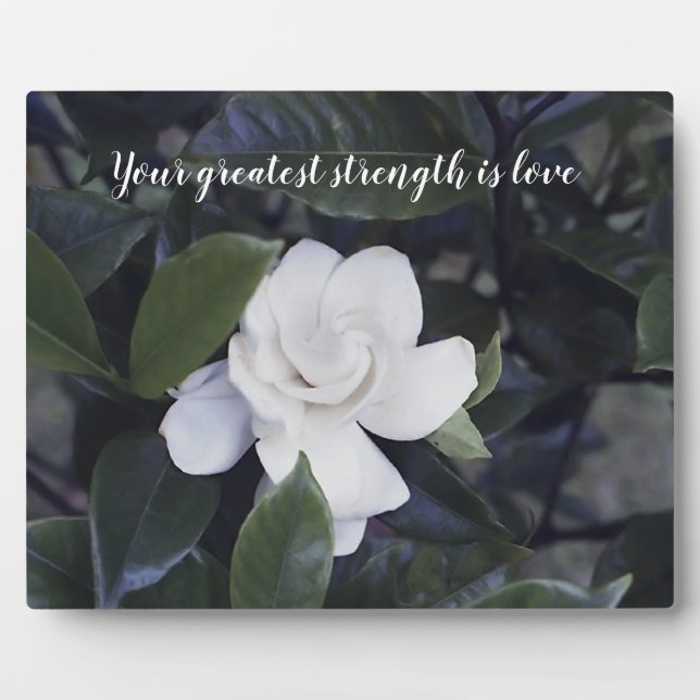 Words of Wisdom Tabletop Plaque with Easel (Front)