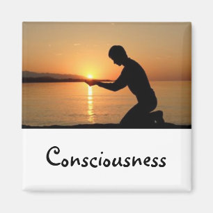 Words To Live By: Consciousness Magnet
