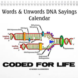 Words & Unwords DNA Sayings 2016 Calendar