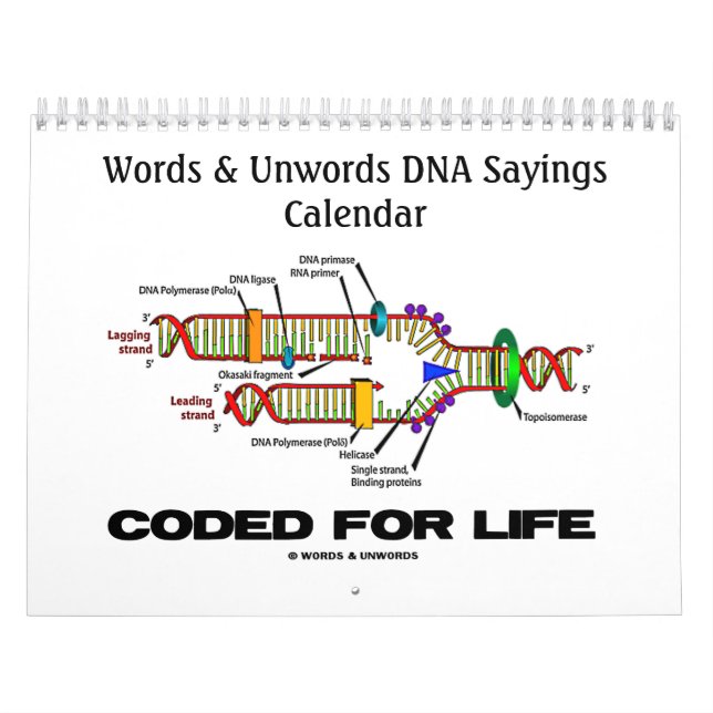 Words & Unwords DNA Sayings 2016 Calendar (Cover)