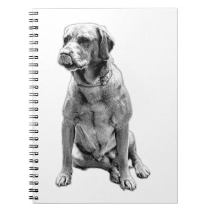 Words Watched Over Notebook