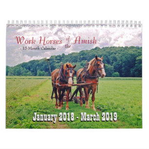 Work Horses of the Amish Calendar
