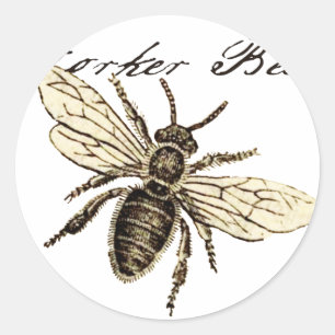 Worker Bee Insect Illustration Classic Round Sticker
