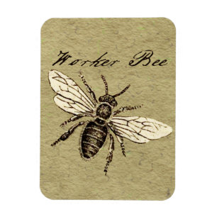 Worker Bee Insect Illustration Magnet